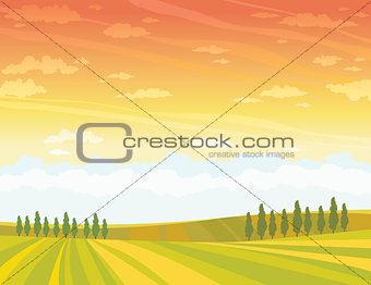 Rural lansdcape with cultivate meadow and sunset sky.