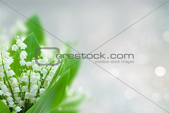 lilly of the valley flowers