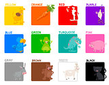 basic colors educational set