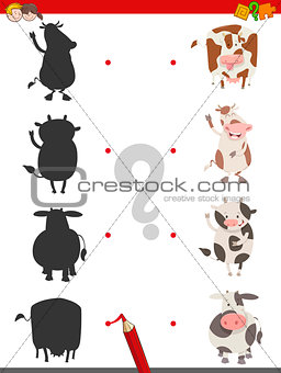 shadow activity with cow animals