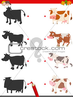 shadow activity game with cows