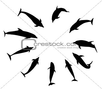 Set of black dolphins in different variants jump, fly, swim, di