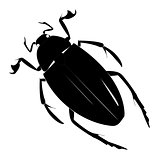 Black simple silhouette of a beetle on a white background