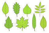 hand drawn set of green leaves