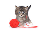 Tiny Kitten Playing With Red Ball of Yarn
