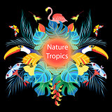 Bright tropical background