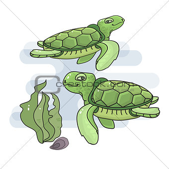 Vector illustration of a cute cartoon sea  turtle.