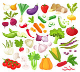 Raw vegetables with sliced isolated realistic icons with pepper eggplant garlic mushroom courgette tomato onion cucumber vector illustration