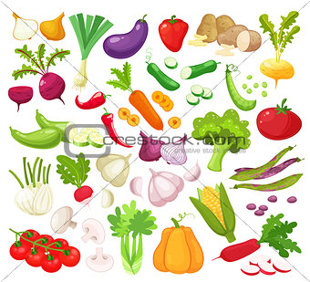 Raw vegetables with sliced isolated realistic icons with pepper eggplant garlic mushroom courgette tomato onion cucumber vector illustration