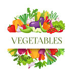 Banner round composition with colorful vegetables for farmers market menu design. Healthy food concept. Vector illustration.