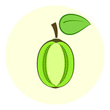 Half green kiwi icon, kiwi split in a half