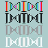 DNA or desoxyribonucleic acid icon.