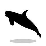 Shark predator black silhouette animal