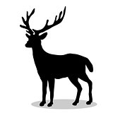 Deer woodland black silhouette animal
