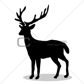 Deer woodland black silhouette animal