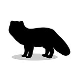 Fox arctic black silhouette animal