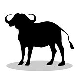 Bison mammal black silhouette animal