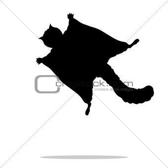 Flying squirrel black silhouette animal