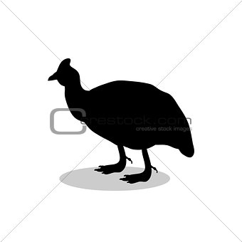 Galeeny bird black silhouette animal