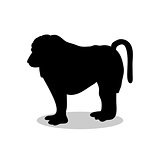 Baboon ape primate black silhouette animal