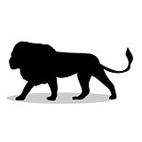 Lion predator black silhouette animal