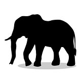 Elephant mammal black silhouette animal