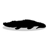 Alligator predator reptile black silhouette animal