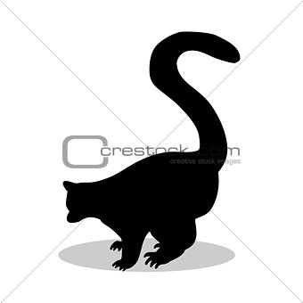 Lemur monkey primate black silhouette animal