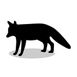Fox wildlife black silhouette animal