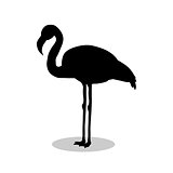 Flamingo bird  black silhouette animal