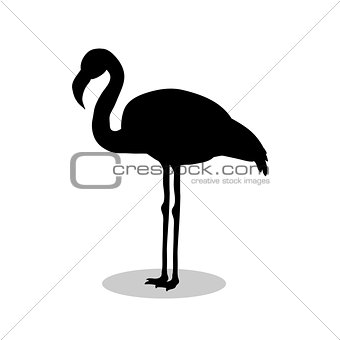 Flamingo bird  black silhouette animal