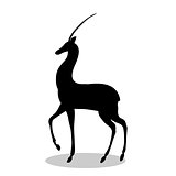 Antelope mammal black silhouette animal