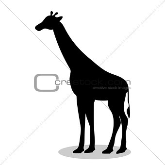 Giraffe mammal black silhouette animal