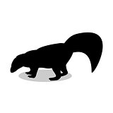 Skunk mammal black silhouette animal