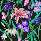 Seamless pattern with flowers. Iris. Lily. Vector. Hand drawn. Black background