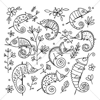 Chameleon collection, sketch for your design