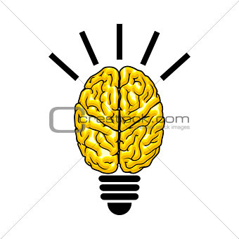 Bulb as the brain