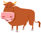 bull farm animal