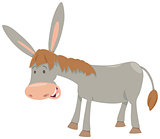 donkey farm animal
