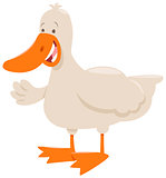 duck farm animal cartoon