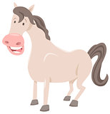 funny horse farm animal