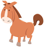 horse or pony cartoon animal