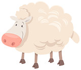 sheep animal character cartoon