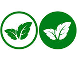 green leaf icons