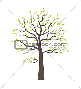 Trees with leaves