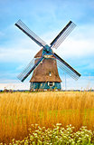 Old Dutch mill with yellow wheat
