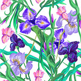 Seamless pattern with flowers. Iris. Vector. Hand drawn.