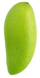 green mango fruit isolated on white