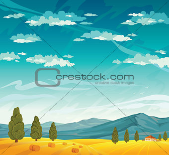 Rural landscape with field.
