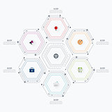 Infographics template 6 options with hexagon